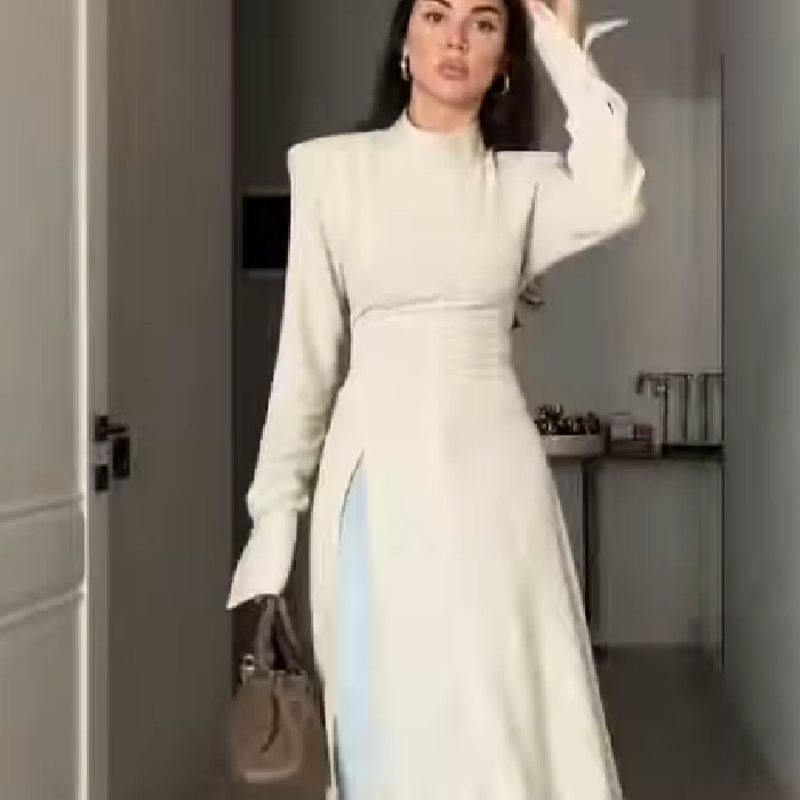 Women Formal Office Wear Tops - Women's Elegant High Neck Long Sleeve