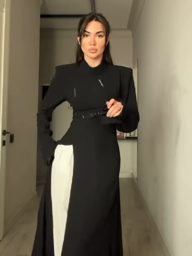 Women's Elegant High Neck Long - đánh giá và giá Women Formal Office Wear Tops