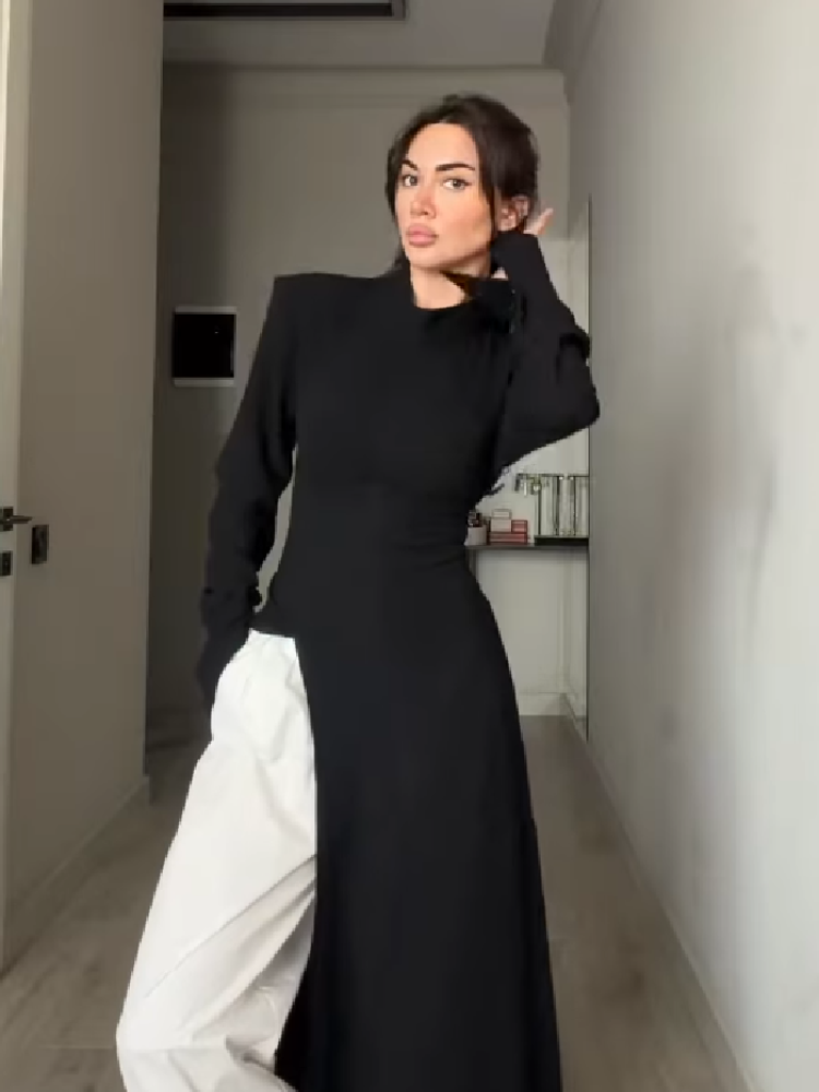 Women's Elegant High Neck Long - đánh giá và giá Women Formal Office Wear Tops